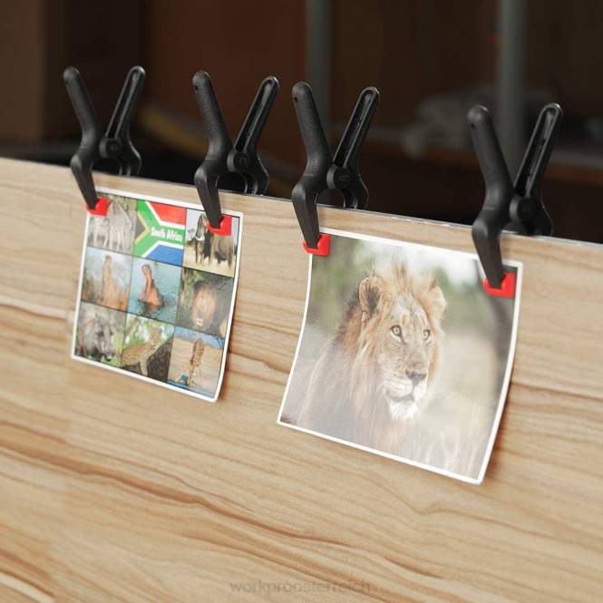 16-teiliges Nylon-Federklemmen-Set für Holzbearbeitung, Fotostudios und Heimwerkerarbeiten WORKPRO V02J125 morden Werkzeug