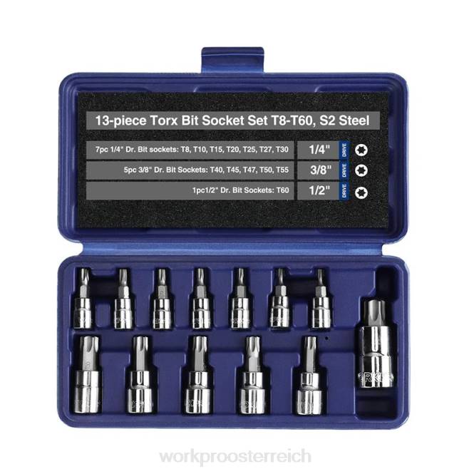 13-teiliger Torx-Bit-Steckschlüsselsatz (nur für den Handgebrauch) WORKPRO V02J127 morden Werkzeug