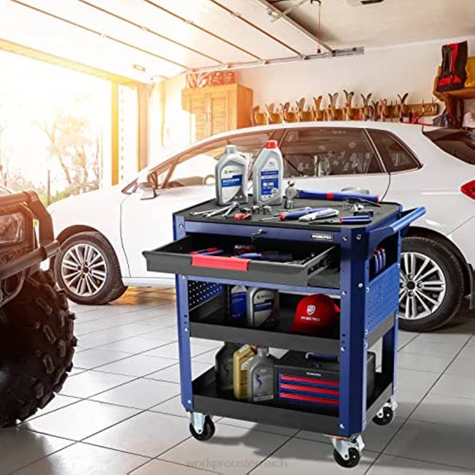 Hochwertiger Roll-Werkzeugwagen mit 2 Schubladen, robuster Aufbewahrungsorganisator für Industrie-Servicewagen mit Rädern und Verriegelungssystem WORKPRO V02J16 nützlich Lagerung